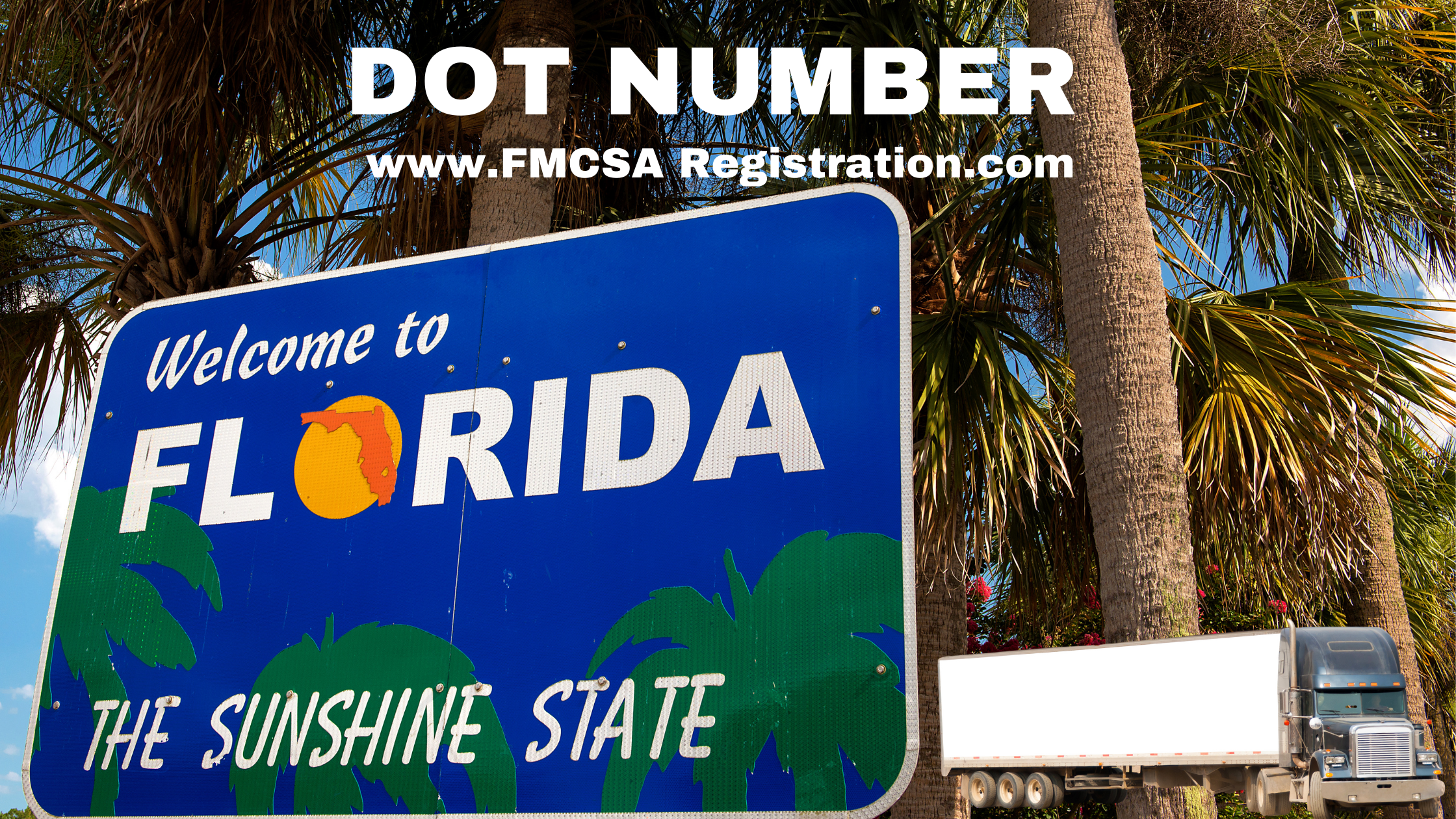 Florida DOT Number