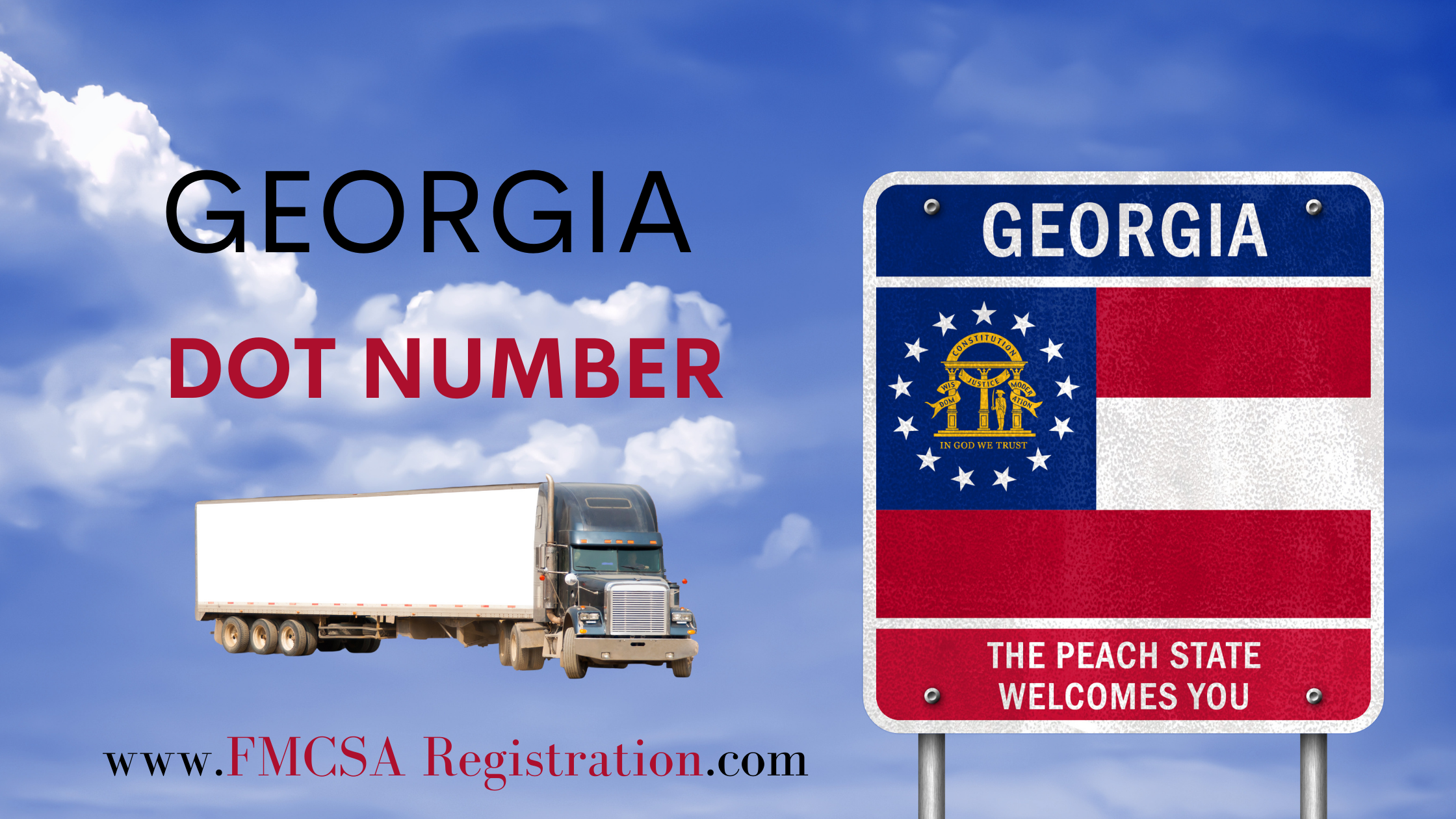 Georgia DOT Number product image reference 1