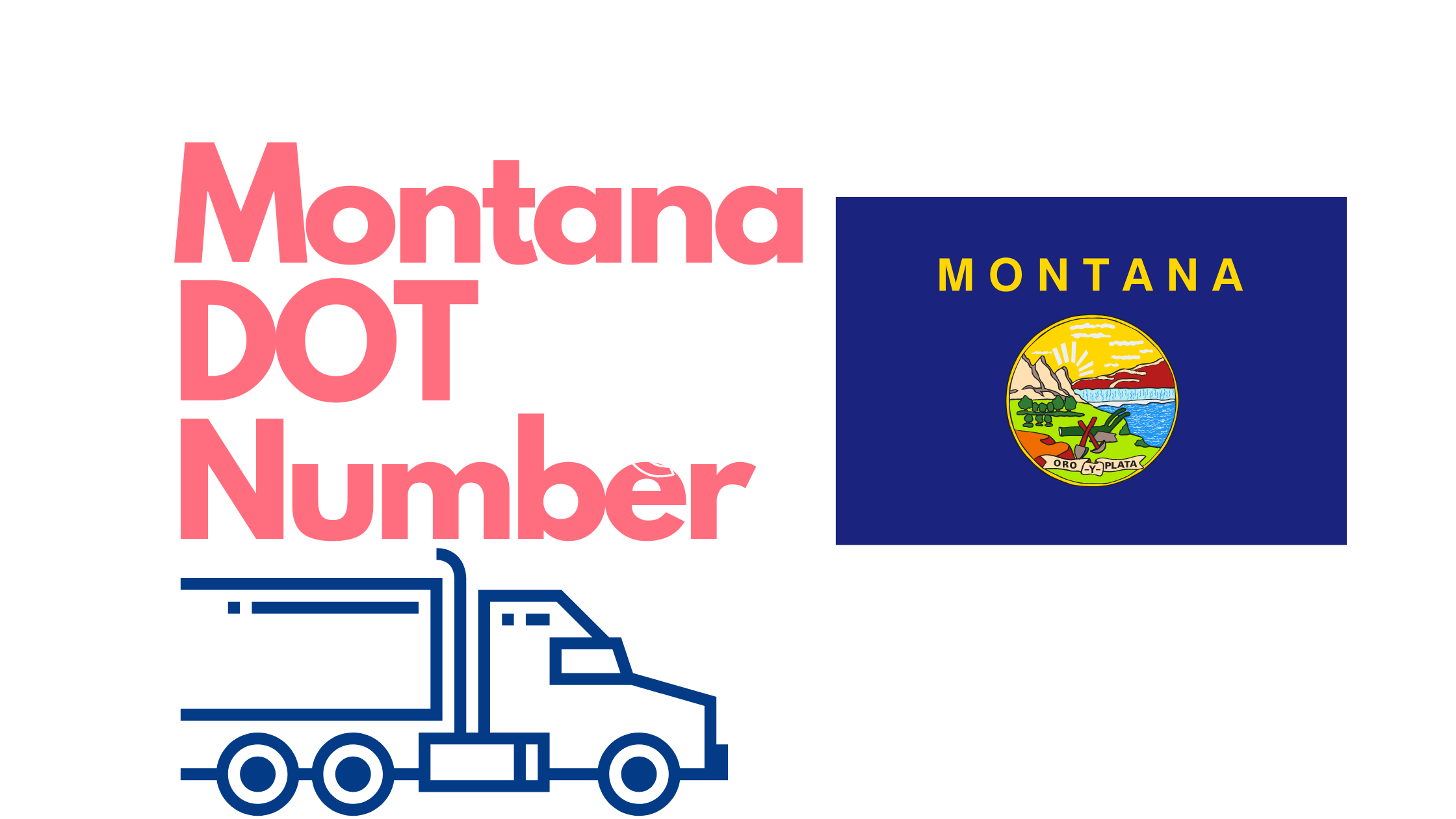 Montana DOT Number product image reference 1