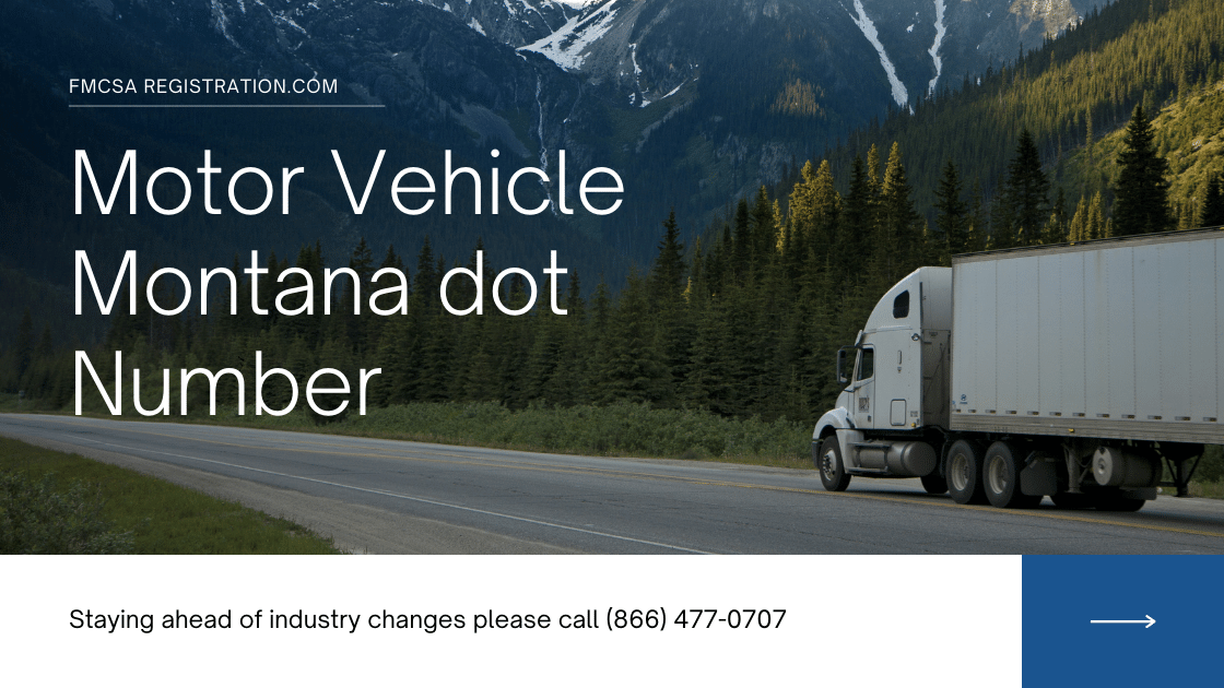 Montana DOT Number  product image reference 5